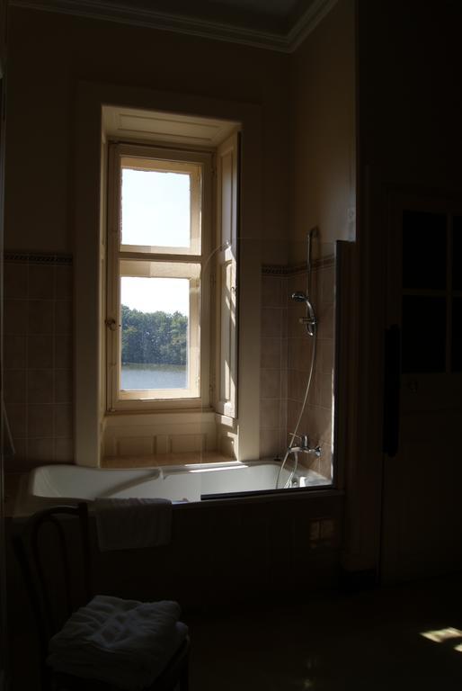 Chateau De La Verrerie Hotel Aubigny-sur-Nere Room photo