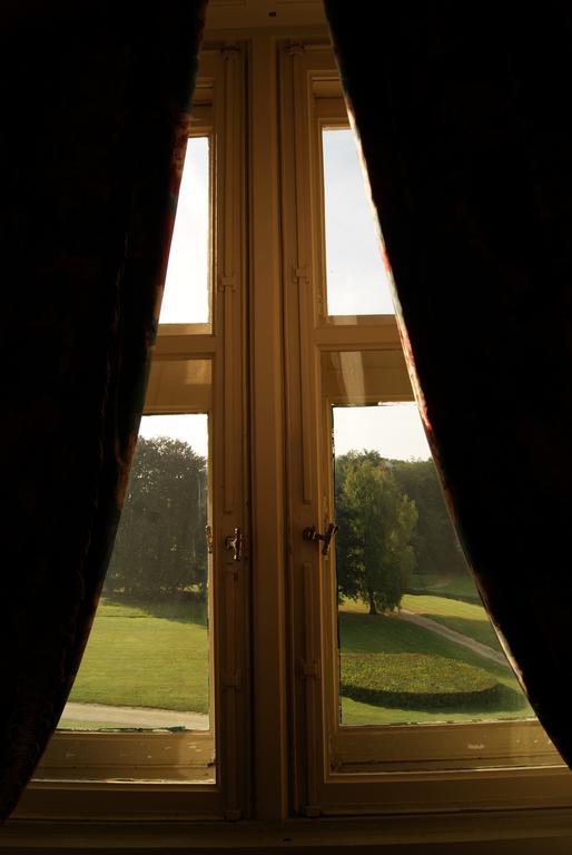 Chateau De La Verrerie Hotel Aubigny-sur-Nere Room photo