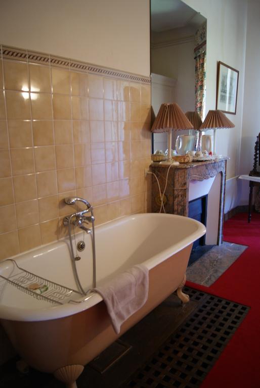 Chateau De La Verrerie Hotel Aubigny-sur-Nere Room photo